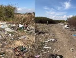 Сміттєвий колапс на Ужгородщині: екологи виявили стихійні звалища у Холмківській громаді