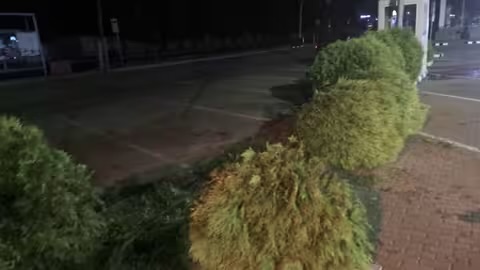 В Ужгороді пʼяний водій Audi скоїв ДТП