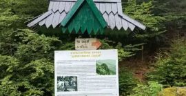 У трьох відділеннях Карпатського біосферного заповідника оновили інфраструктуру