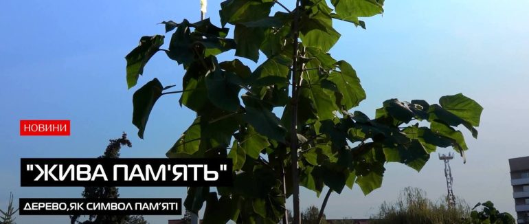 Дерево, як символ пам’яті (Відео)