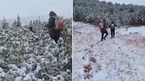 На Закарпатті чотири години шукали туриста, який заблукав дорогою на Говерлу