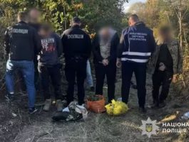 Плантація конопель біля Латориці: на Мукачівщині