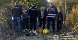 Плантація конопель біля Латориці: на Мукачівщині