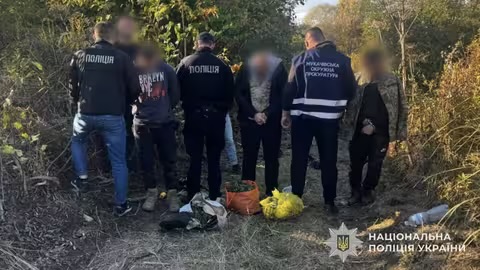 Плантація конопель біля Латориці: на Мукачівщині