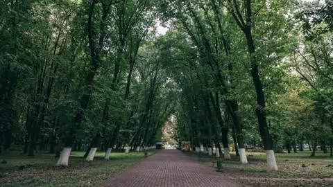В Ужгороді проводитимуть дератизацію: жителів просять стежити за дітьми й тваринами