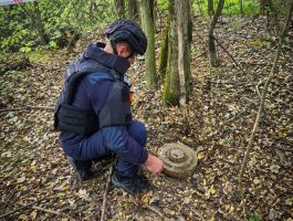 На Ужгородщині грибник натрапив на небезпечне «відлуння війни»: у лісі знайшли протитанкову міну