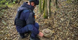 На Ужгородщині грибник натрапив на небезпечне «відлуння війни»: у лісі знайшли протитанкову міну