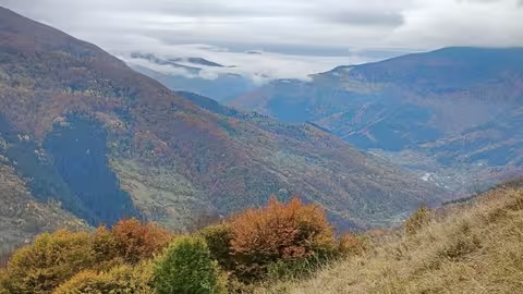 Від +15° до мокрого снігу: прогноз погоди на Закарпатті цими вихідними